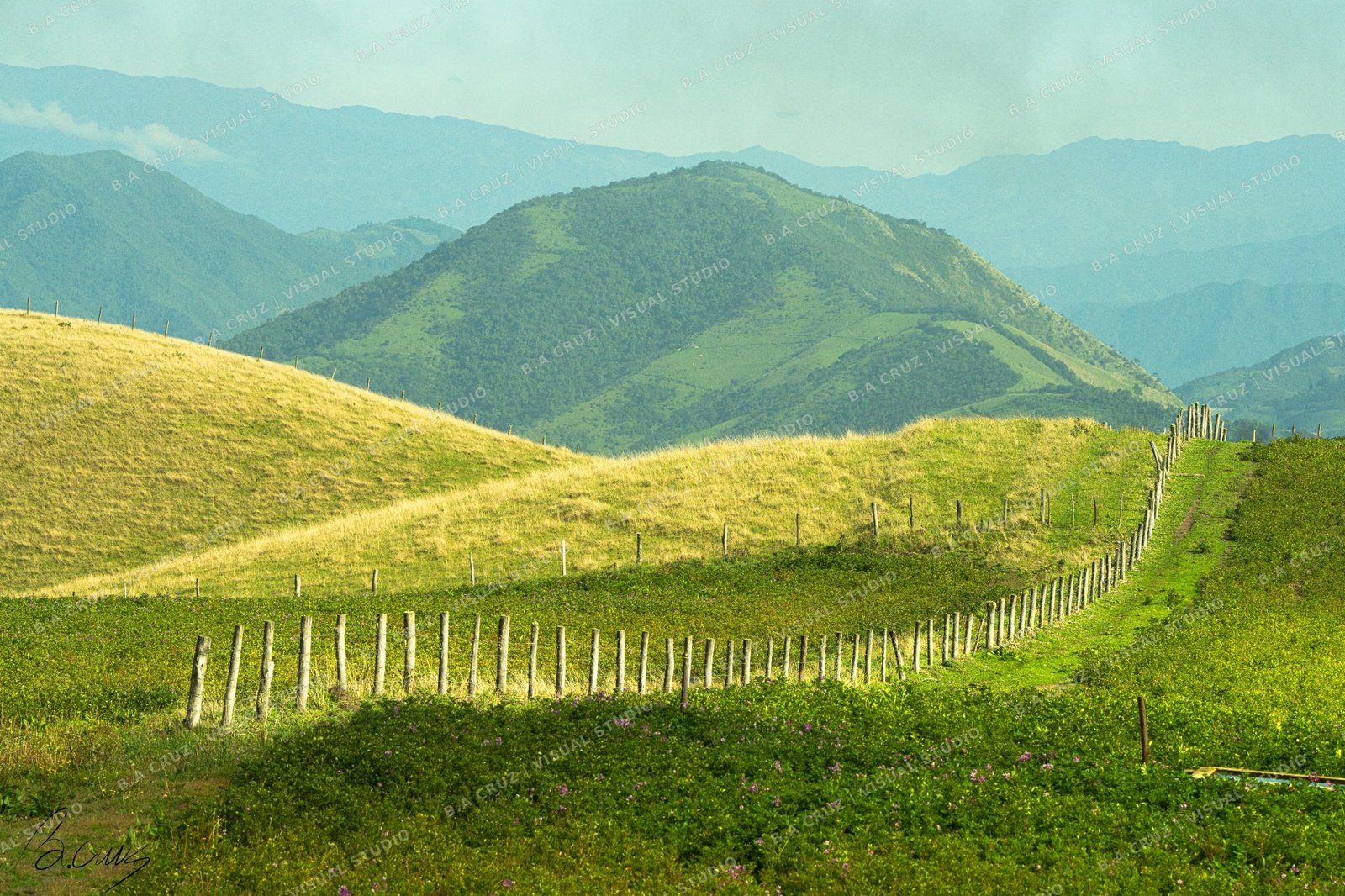 Paisaje de montañas y praderas
